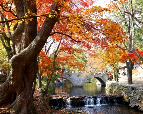 1857f78ead137d8702ef37ed27afe8f2_1759394369_24.jpg 1857f78ead137d8702ef37ed27afe8f2_1759394369_24.jpg